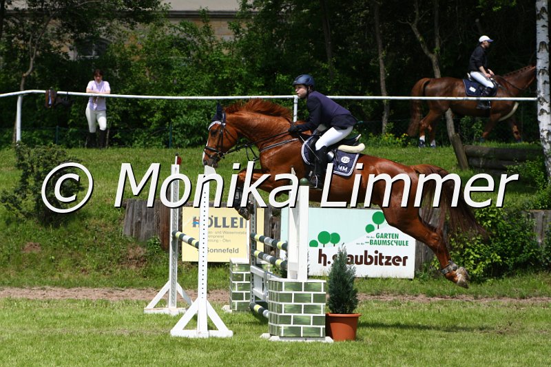 005M4995_Lumpi_L Springen.JPG